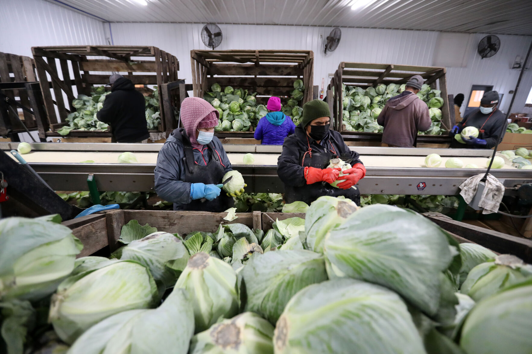 Farm Wages
